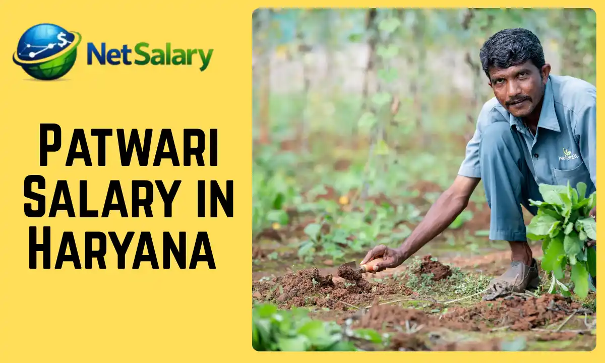Patwari Salary in Haryana