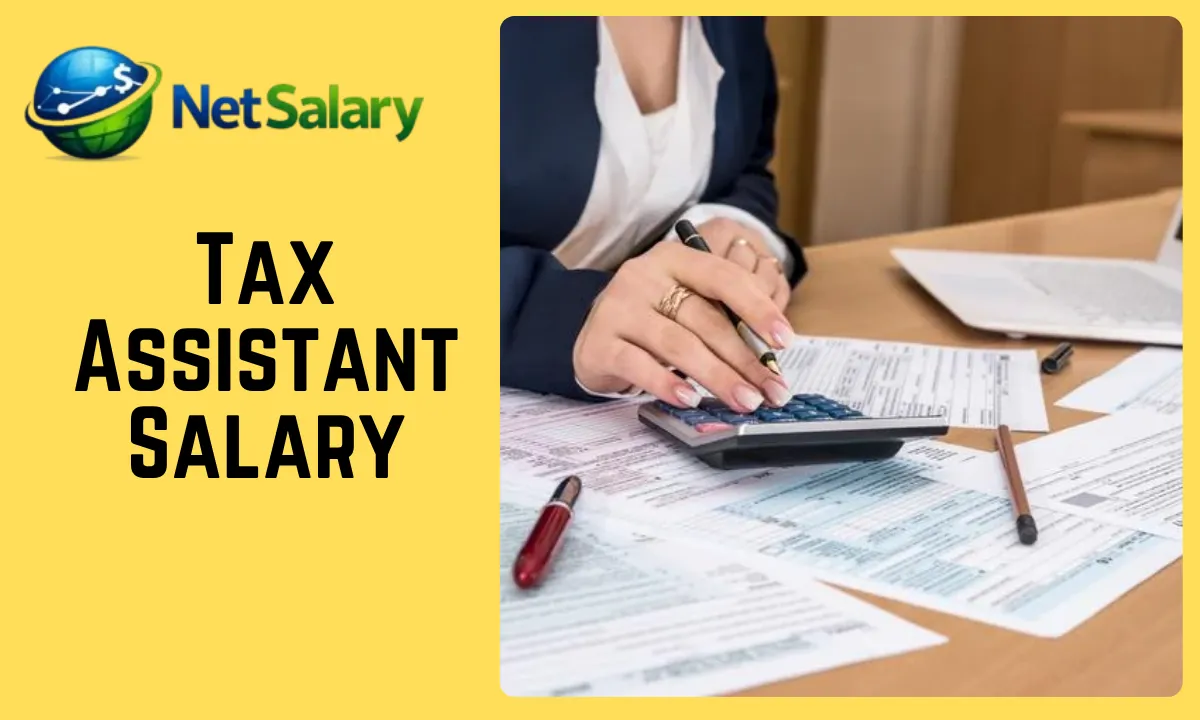 Tax Assistant salary
