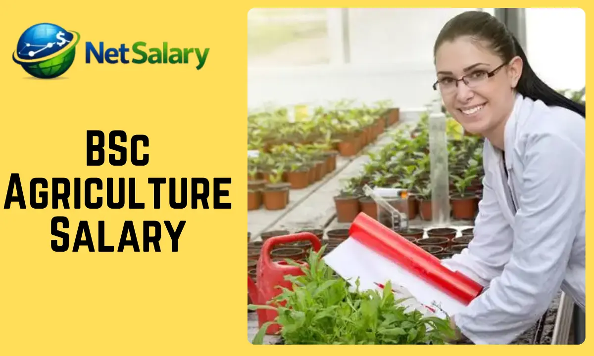 BSc Agriculture Salary