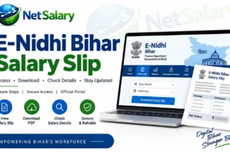E-Nidhi Bihar Salary Slip